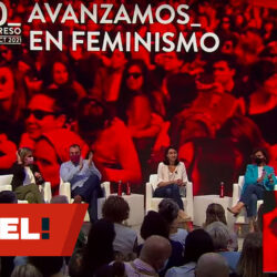 feministas PSOE